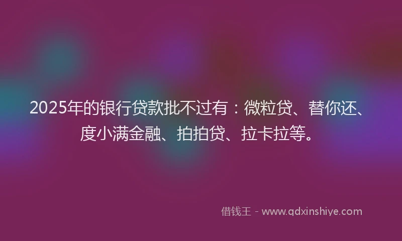 2025年的银行贷款批不过有：微粒贷、替你还、度小满金融、拍拍贷、拉卡拉等。