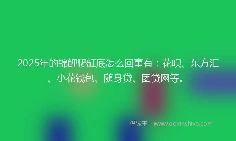 2025年的锦鲤爬缸底怎么回事有：花呗、东方汇、小花钱包、随身贷、团贷网等。