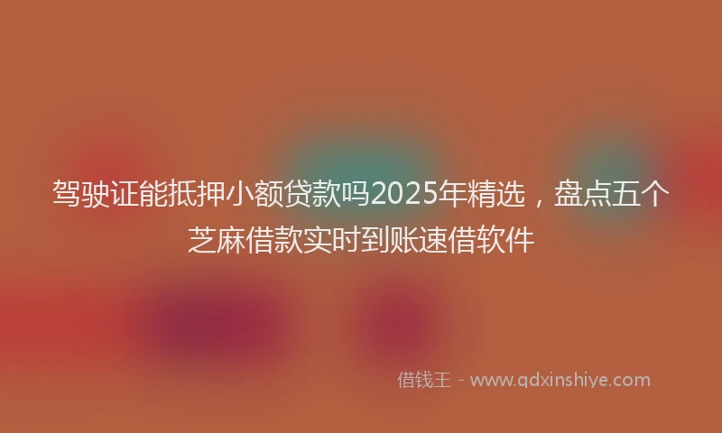 驾驶证能抵押小额贷款吗2025年精选，盘点五个芝麻借款实时到账速借软件