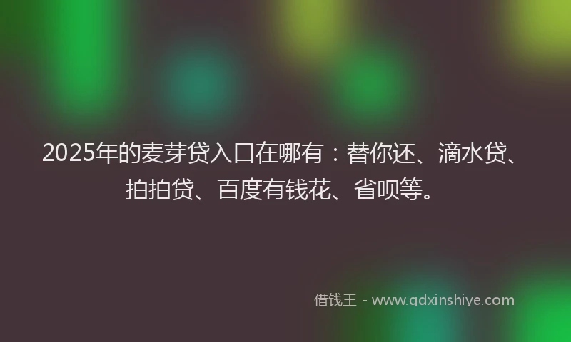 2025年的麦芽贷入口在哪有：替你还、滴水贷、拍拍贷、百度有钱花、省呗等。