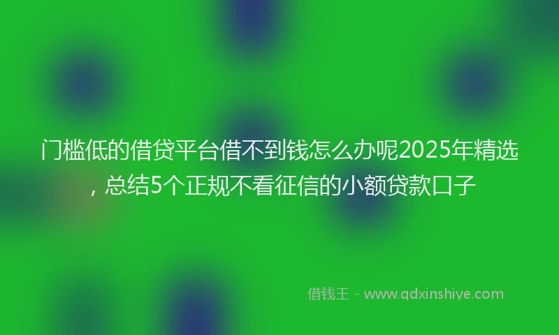 门槛低的借贷平台借不到钱怎么办呢2025年精选，总结5个正规不看征信的小额贷款口子