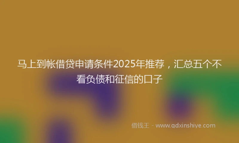 马上到帐借贷申请条件2025年推荐，汇总五个不看负债和征信的口子