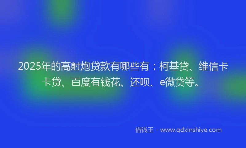 2025年的高射炮贷款有哪些有：柯基贷、维信卡卡贷、百度有钱花、还呗、e微贷等。