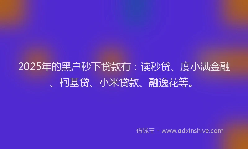 2025年的黑户秒下贷款有：读秒贷、度小满金融、柯基贷、小米贷款、融逸花等。