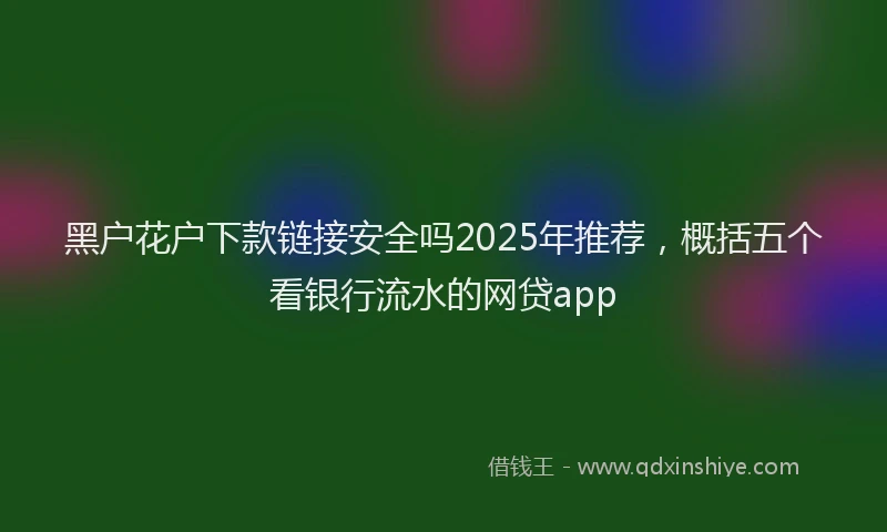 黑户花户下款链接安全吗2025年推荐，概括五个看银行流水的网贷app