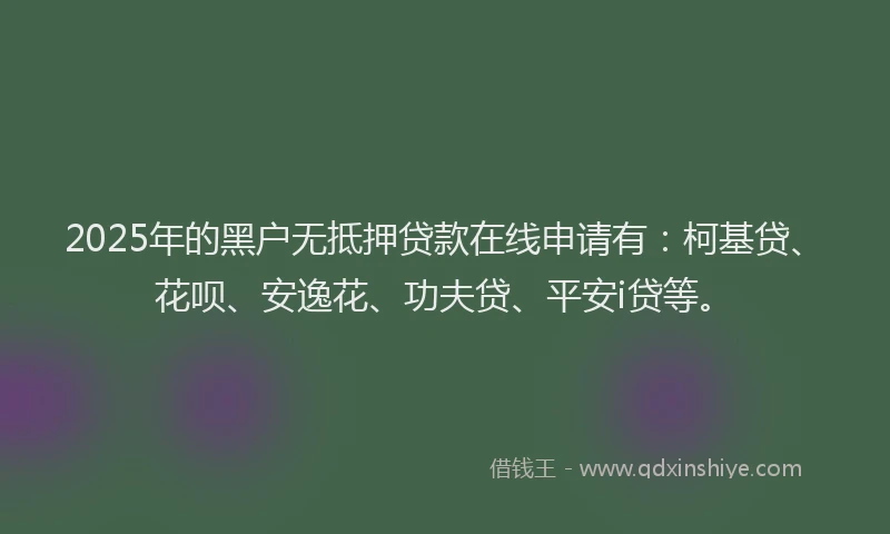 2025年的黑户无抵押贷款在线申请有：柯基贷、花呗、安逸花、功夫贷、平安i贷等。