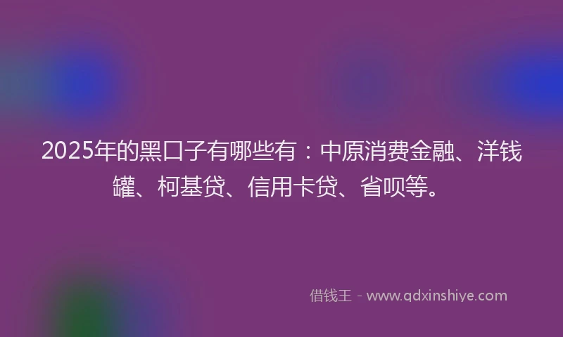 2025年的黑口子有哪些有：中原消费金融、洋钱罐、柯基贷、信用卡贷、省呗等。