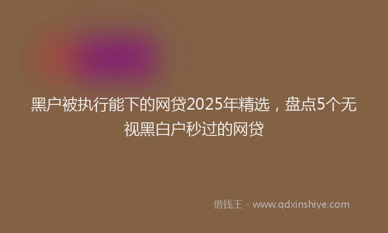 黑户被执行能下的网贷2025年精选，盘点5个无视黑白户秒过的网贷