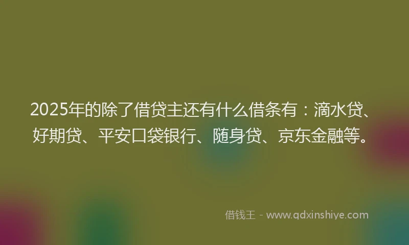 2025年的除了借贷主还有什么借条有：滴水贷、好期贷、平安口袋银行、随身贷、京东金融等。