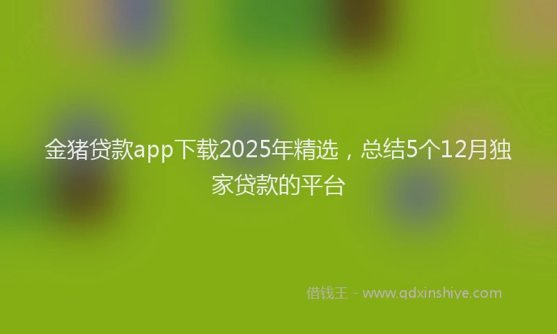 金猪贷款app下载2025年精选，总结5个12月独家贷款的平台