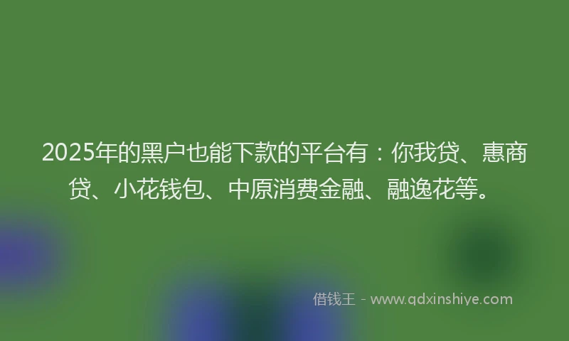 2025年的黑户也能下款的平台有：你我贷、惠商贷、小花钱包、中原消费金融、融逸花等。