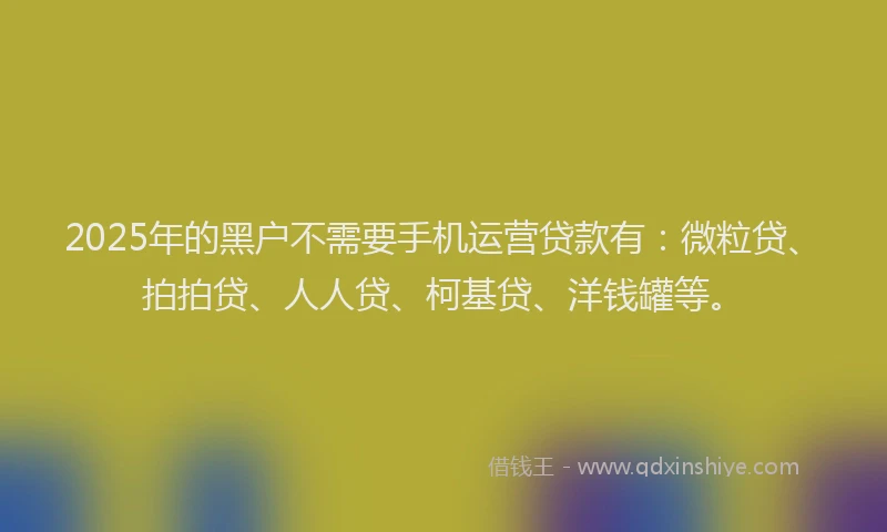 2025年的黑户不需要手机运营贷款有：微粒贷、拍拍贷、人人贷、柯基贷、洋钱罐等。