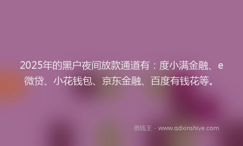 2025年的黑户夜间放款通道有：度小满金融、e微贷、小花钱包、京东金融、百度有钱花等。