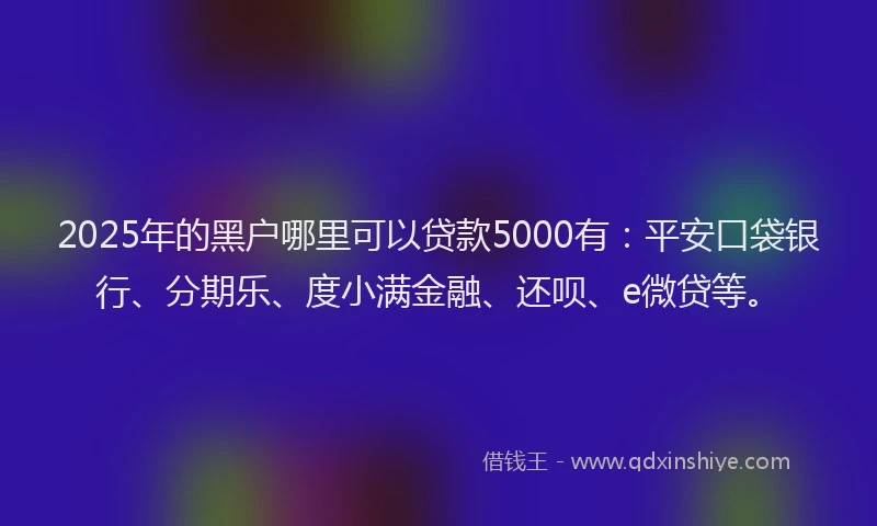 2025年的黑户哪里可以贷款5000有：平安口袋银行、分期乐、度小满金融、还呗、e微贷等。