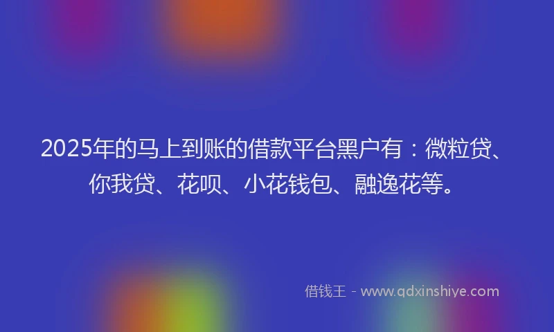 2025年的马上到账的借款平台黑户有：微粒贷、你我贷、花呗、小花钱包、融逸花等。