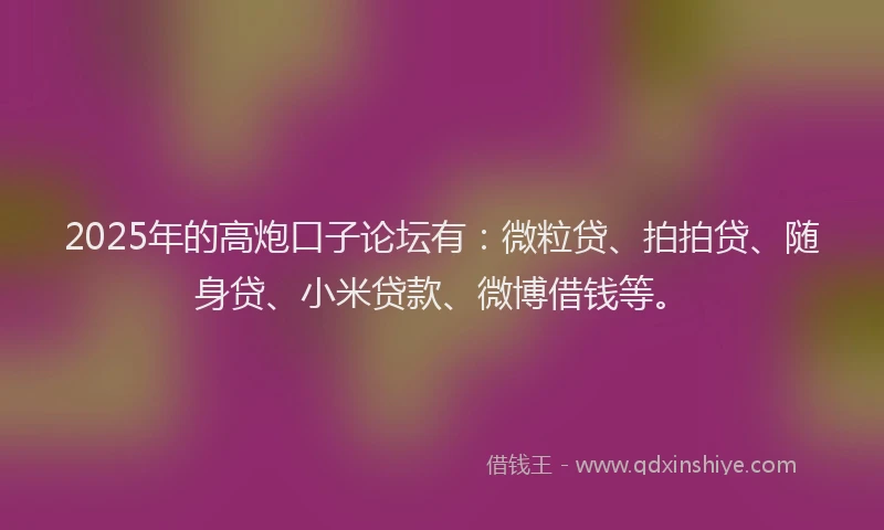 2025年的高炮口子论坛有：微粒贷、拍拍贷、随身贷、小米贷款、微博借钱等。