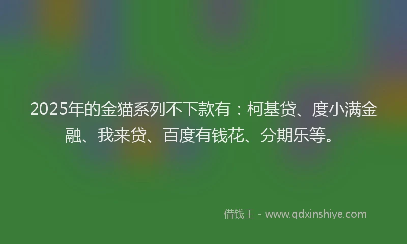 2025年的金猫系列不下款有：柯基贷、度小满金融、我来贷、百度有钱花、分期乐等。