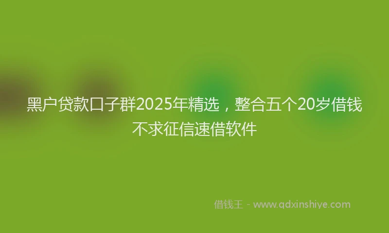 黑户贷款口子群2025年精选，整合五个20岁借钱不求征信速借软件