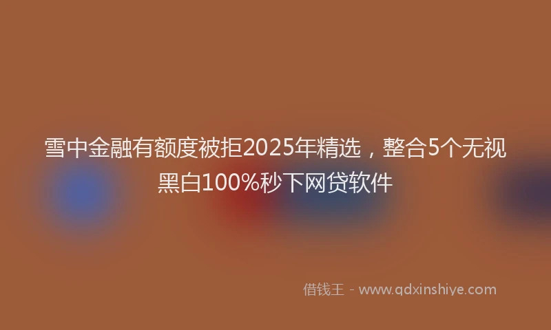 雪中金融有额度被拒2025年精选，整合5个无视黑白100%秒下网贷软件
