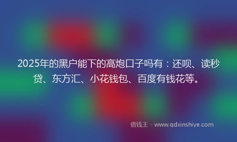 2025年的黑户能下的高炮口子吗有：还呗、读秒贷、东方汇、小花钱包、百度有钱花等。