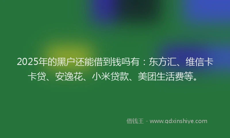 2025年的黑户还能借到钱吗有：东方汇、维信卡卡贷、安逸花、小米贷款、美团生活费等。