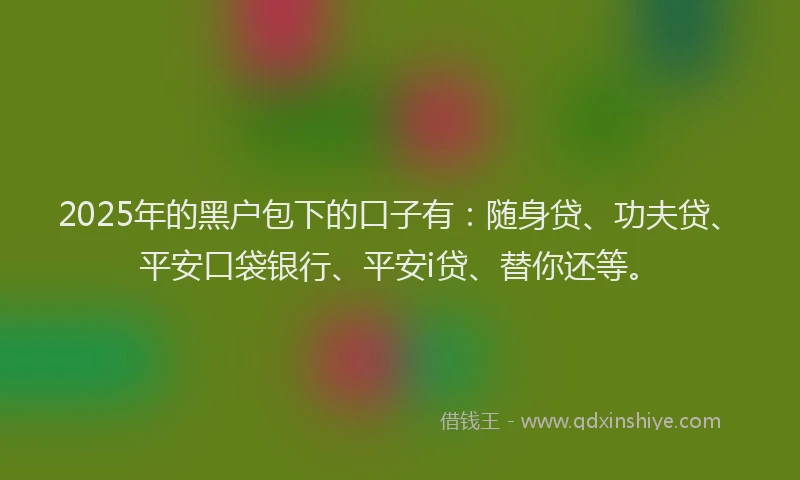2025年的黑户包下的口子有：随身贷、功夫贷、平安口袋银行、平安i贷、替你还等。