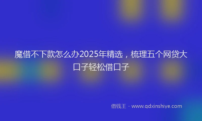 魔借不下款怎么办2025年精选，梳理五个网贷大口子轻松借口子