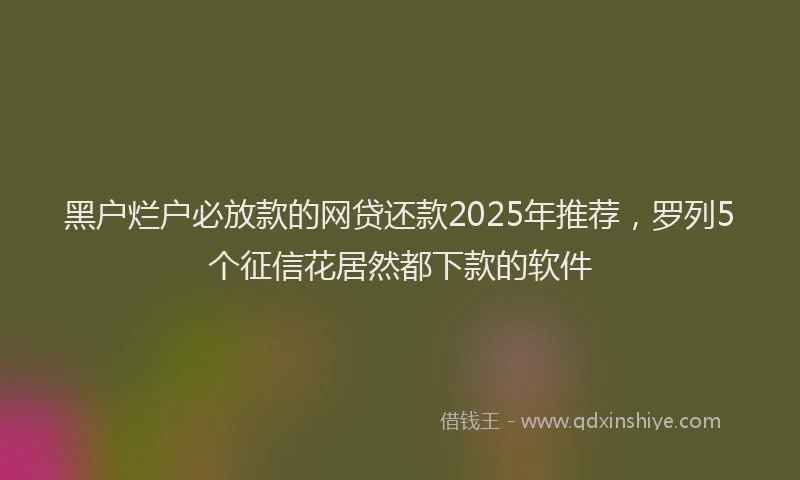 黑户烂户必放款的网贷还款2025年推荐，罗列5个征信花居然都下款的软件