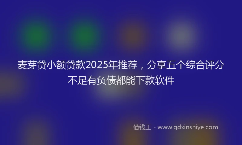 麦芽贷小额贷款2025年推荐，分享五个综合评分不足有负债都能下款软件