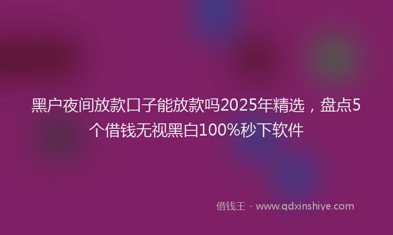 黑户夜间放款口子能放款吗2025年精选，盘点5个借钱无视黑白100%秒下软件
