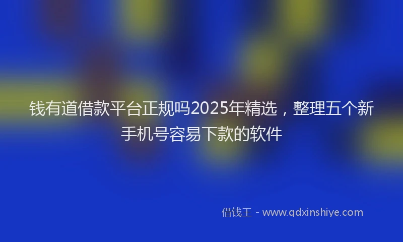 钱有道借款平台正规吗2025年精选，整理五个新手机号容易下款的软件
