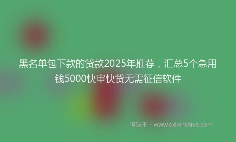 黑名单包下款的贷款2025年推荐，汇总5个急用钱5000快审快贷无需征信软件