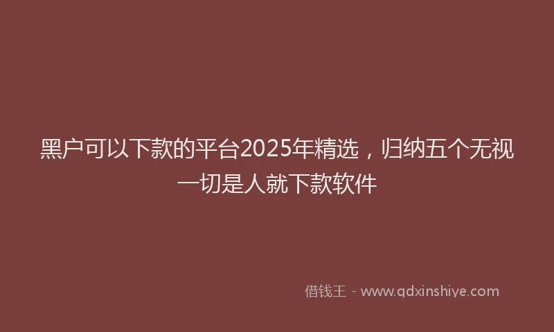 黑户可以下款的平台2025年精选，归纳五个无视一切是人就下款软件