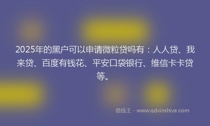 2025年的黑户可以申请微粒贷吗有：人人贷、我来贷、百度有钱花、平安口袋银行、维信卡卡贷等。