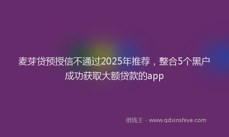 麦芽贷预授信不通过2025年推荐，整合5个黑户成功获取大额贷款的app