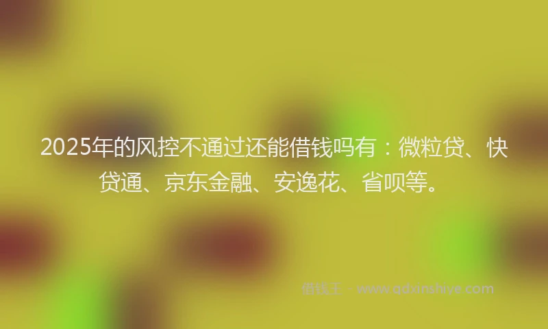 2025年的风控不通过还能借钱吗有：微粒贷、快贷通、京东金融、安逸花、省呗等。
