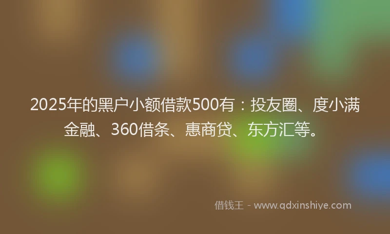 2025年的黑户小额借款500有：投友圈、度小满金融、360借条、惠商贷、东方汇等。