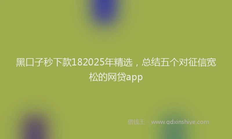 黑口子秒下款182025年精选，总结五个对征信宽松的网贷app
