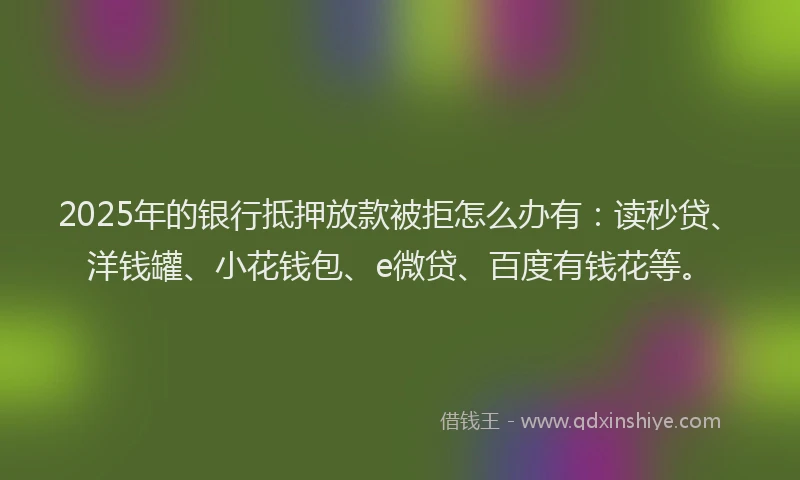 2025年的银行抵押放款被拒怎么办有：读秒贷、洋钱罐、小花钱包、e微贷、百度有钱花等。