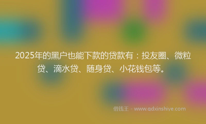 2025年的黑户也能下款的贷款有：投友圈、微粒贷、滴水贷、随身贷、小花钱包等。
