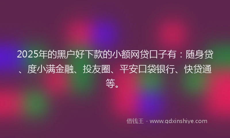 2025年的黑户好下款的小额网贷口子有：随身贷、度小满金融、投友圈、平安口袋银行、快贷通等。