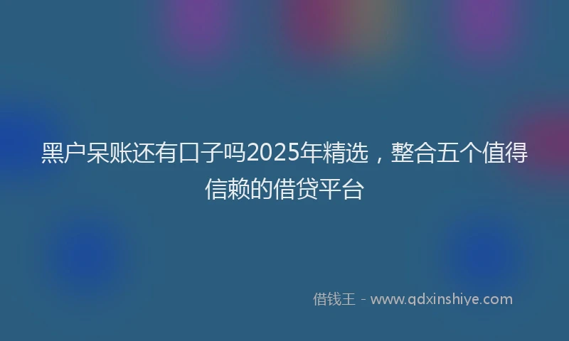 黑户呆账还有口子吗2025年精选，整合五个值得信赖的借贷平台