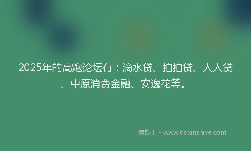 2025年的高炮论坛有：滴水贷、拍拍贷、人人贷、中原消费金融、安逸花等。