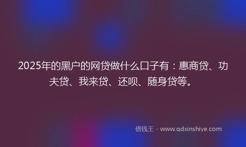2025年的黑户的网贷做什么口子有：惠商贷、功夫贷、我来贷、还呗、随身贷等。