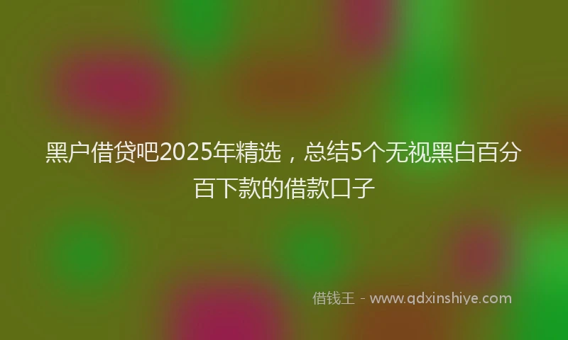 黑户借贷吧2025年精选，总结5个无视黑白百分百下款的借款口子
