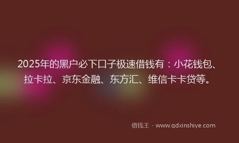 2025年的黑户必下口子极速借钱有：小花钱包、拉卡拉、京东金融、东方汇、维信卡卡贷等。