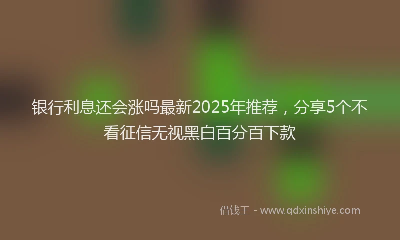 银行利息还会涨吗最新2025年推荐，分享5个不看征信无视黑白百分百下款