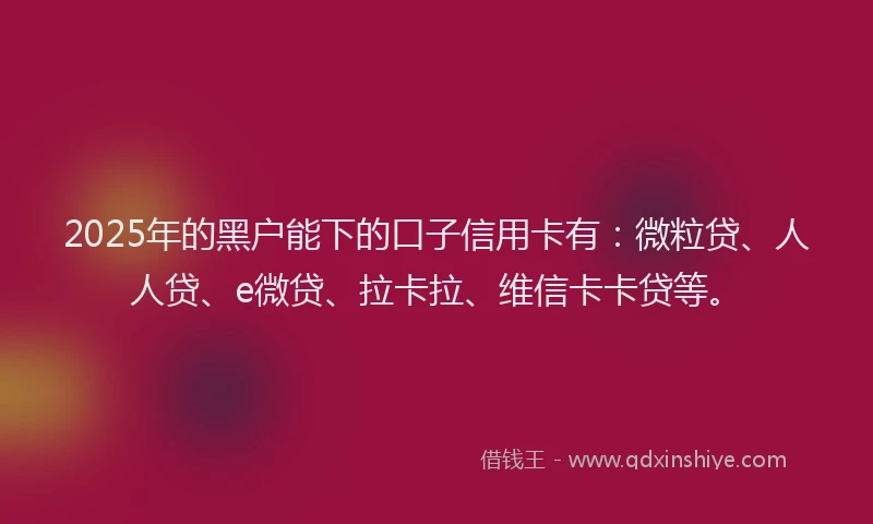 2025年的黑户能下的口子信用卡有：微粒贷、人人贷、e微贷、拉卡拉、维信卡卡贷等。