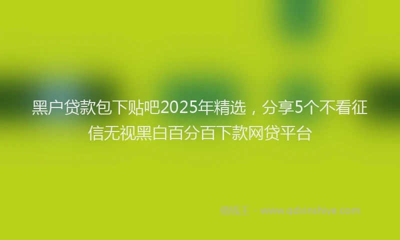 黑户贷款包下贴吧2025年精选，分享5个不看征信无视黑白百分百下款网贷平台