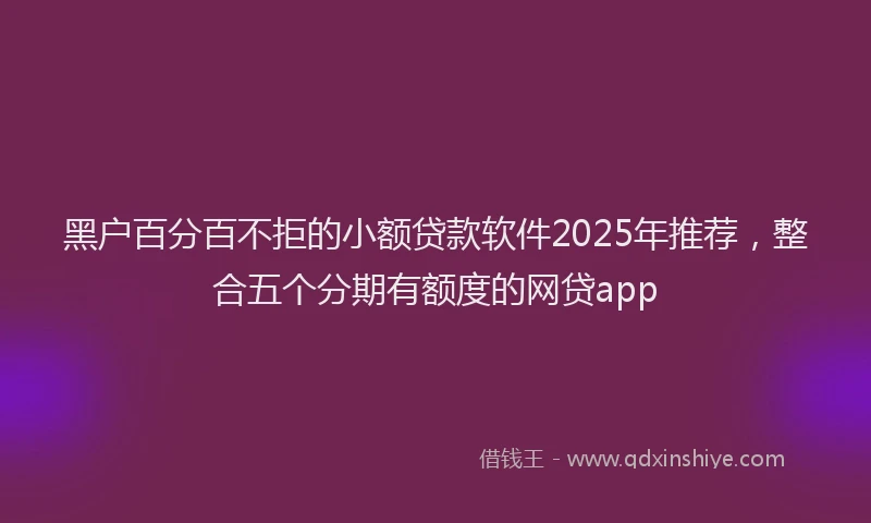 黑户百分百不拒的小额贷款软件2025年推荐，整合五个分期有额度的网贷app